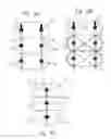 Fig. 16 - DUAL BRACKETED ENERGY DELIVERY PROBE AND METHOD OF USE