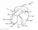 Fig. 01 - OPERATIVE ELEMENT SUPPORT STRUCTURE WITH SLOTTED TUBULAR BASE