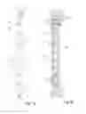 Fig. 02 - Osteosynthesis system for the multidirectional, angular-stable treatment of fractures of tubular bones comprising an intramedullary nail and bone screws