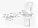Fig. 01 - Cut guide attachment for use in tibial prosthesis systems