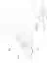 Fig. 32 - DEVICE FOR REMOVING ACROCHORDONS