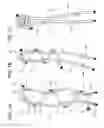 Fig. 02 - Tissue repair