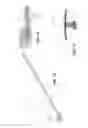 Fig. 05 - Tissue device