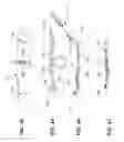 Fig. 16 - Tissue device