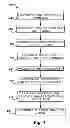 Fig. 06 - Devices and methods for tissue graft delivery