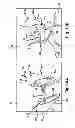 Fig. 09 - Devices and methods for tissue graft delivery