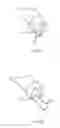 Fig. 10 - Expandable support structure for delivery through a working channel