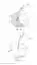 Fig. 03 - Methods and devices for deploying and releasing a temporary implant within the body