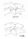 Fig. 41 - VERTEBRAL JOINT IMPLANTS AND DELIVERY TOOLS