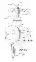 Fig. 52 - VERTEBRAL JOINT IMPLANTS AND DELIVERY TOOLS