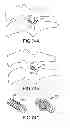Fig. 65 - VERTEBRAL JOINT IMPLANTS AND DELIVERY TOOLS