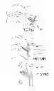 Fig. 69 - VERTEBRAL JOINT IMPLANTS AND DELIVERY TOOLS
