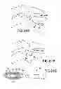 Fig. 72 - VERTEBRAL JOINT IMPLANTS AND DELIVERY TOOLS
