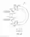 Fig. 19 - Devices and methods for stimulating nerves