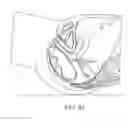 Fig. 52 - Devices and methods for stimulating nerves