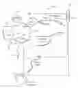 Fig. 01 - Short duration pre-pulsing to reduce stimulation-evoked side-effetcs