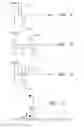 Fig. 08 - Short duration pre-pulsing to reduce stimulation-evoked side-effetcs