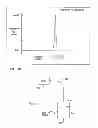 Fig. 09 - Electromagnetic shield for a passive electronic component in an active medical device implantable lead
