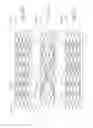 Fig. 06 - Gradually self-expanding stent