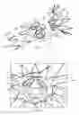 Fig. 02 - Prosthesis having pivoting fenestration