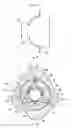Fig. 06 - Prosthesis having pivoting fenestration