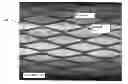 Fig. 01 - Monolithic medical devices, methods of making and using the same