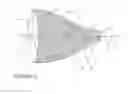 Fig. 14 - METHODS AND SYSTEMS FOR CARDIAC VALVE DELIVERY