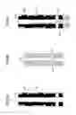 Fig. 05 - Visual confirmation evaluating apparatus and method