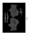 Fig. 07 - USE OF NEURAL ACTIVATION IN THE SUPERIOR TEMPORAL SULCUS AS A PREDICTOR FOR MEMORABILITY OF AUDIO AND/OR VISUAL CONTENT AND EMOTIONAL ENGAGEMENT