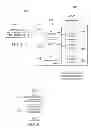 Fig. 08 - System and Method for Service Assurance in IP Networks