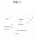 Fig. 02 - Segmented caches