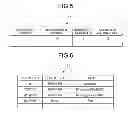 Fig. 05 - Control program of storage control device, control method of storage control device and storage control device