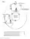 Fig. 04 - Intra-realm AAA fallback mechanism