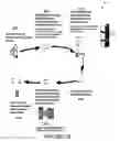 Fig. 37 - Creation and distribution of forms