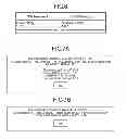Fig. 07 - Information processing apparatus, firmware renewing method, and computer program