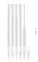 Fig. 05 - Breeding pair of wheat plants comprising an MS45 promoter inverted repeat that confers male sterility and a construct that restores fertility