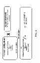 Fig. 06 - Breeding pair of wheat plants comprising an MS45 promoter inverted repeat that confers male sterility and a construct that restores fertility