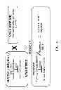Fig. 07 - Breeding pair of wheat plants comprising an MS45 promoter inverted repeat that confers male sterility and a construct that restores fertility