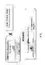 Fig. 08 - Breeding pair of wheat plants comprising an MS45 promoter inverted repeat that confers male sterility and a construct that restores fertility