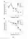 Fig. 04 - COPPER RESISTANT PLANT AND USE FOR PHYTOREMEDIATION