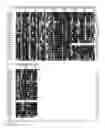 Fig. 06 - SPATIALLY MODIFIED GENE EXPRESSION IN PLANTS