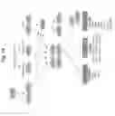 Fig. 35 - SPATIALLY MODIFIED GENE EXPRESSION IN PLANTS