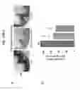 Fig. 40 - SPATIALLY MODIFIED GENE EXPRESSION IN PLANTS