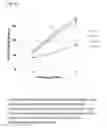 Fig. 63 - SPATIALLY MODIFIED GENE EXPRESSION IN PLANTS
