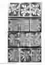Fig. 68 - SPATIALLY MODIFIED GENE EXPRESSION IN PLANTS