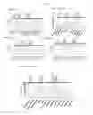 Fig. 05 - ISOLATED POLYNUCLEOTIDES EXPRESSING OR MODULATING dsRNAs, TRANSGENIC PLANTS COMPRISING SAME AND USES THEREOF IN IMPROVING NITROGEN USE EFFICIENCY, ABIOTIC STRESS TOLERANCE, BIOMASS, VIGOR OR YIELD OF A PLANT