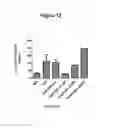 Fig. 14 - ISOLATED POLYNUCLEOTIDES EXPRESSING OR MODULATING dsRNAs, TRANSGENIC PLANTS COMPRISING SAME AND USES THEREOF IN IMPROVING NITROGEN USE EFFICIENCY, ABIOTIC STRESS TOLERANCE, BIOMASS, VIGOR OR YIELD OF A PLANT