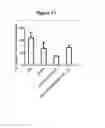 Fig. 15 - ISOLATED POLYNUCLEOTIDES EXPRESSING OR MODULATING dsRNAs, TRANSGENIC PLANTS COMPRISING SAME AND USES THEREOF IN IMPROVING NITROGEN USE EFFICIENCY, ABIOTIC STRESS TOLERANCE, BIOMASS, VIGOR OR YIELD OF A PLANT