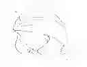 Fig. 01 - CYCLING HELMET WITH HIGH AERODYNAMIC EFFICIENCY