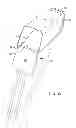 Fig. 32 - Hinge with articulating cover system